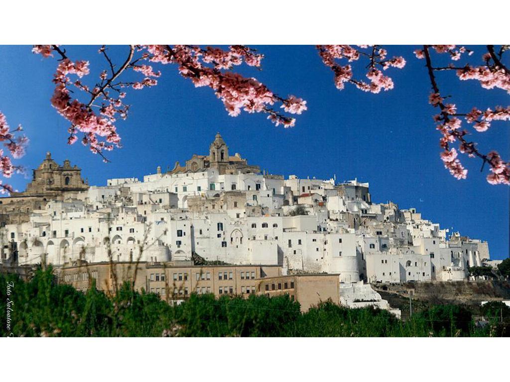 Casa Farella B&B In Suites Apartments Altamura X Matera Dış mekan fotoğraf
